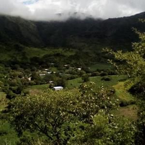 Meet your Posher, Gilberto